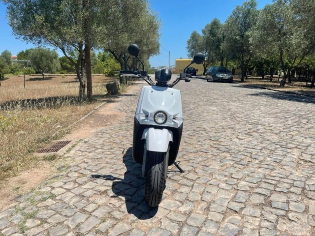 292177545_1000538347294152_8434279232176608897_n